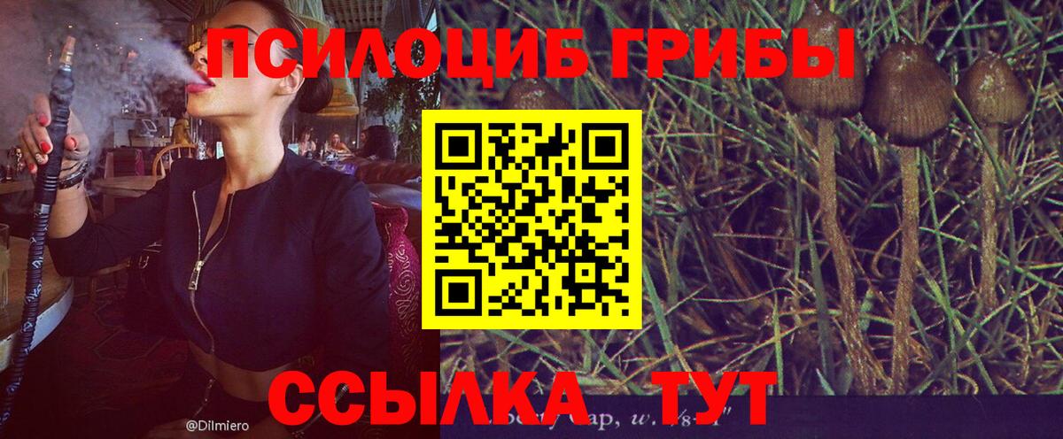 Галлюциногенные грибы Cubensis Михайловск