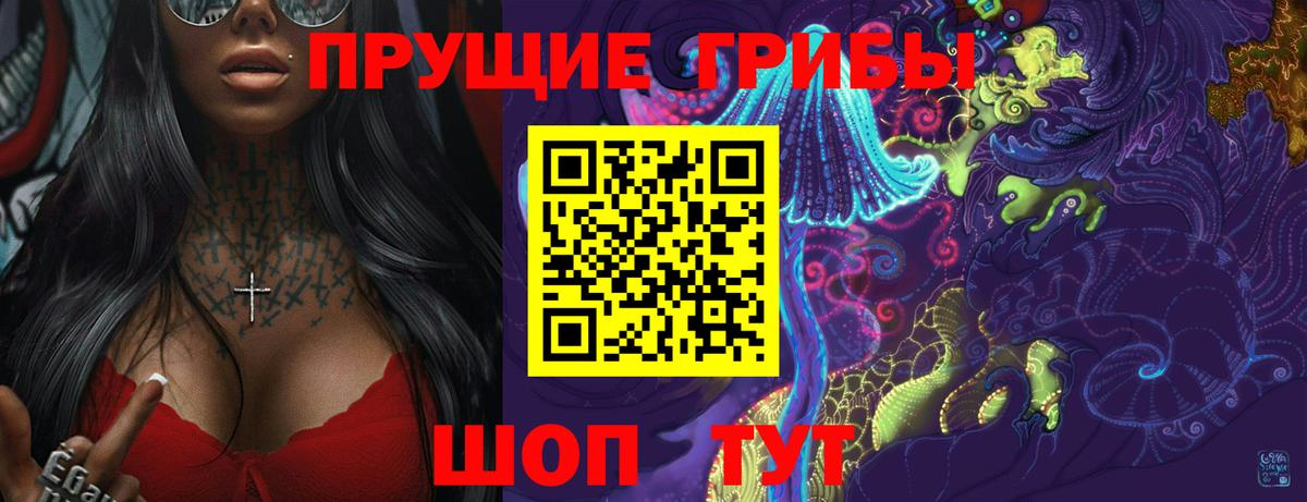 Михайловск  Псилоцибиновые грибы Psilocybine cubensis  Вход с VPN 